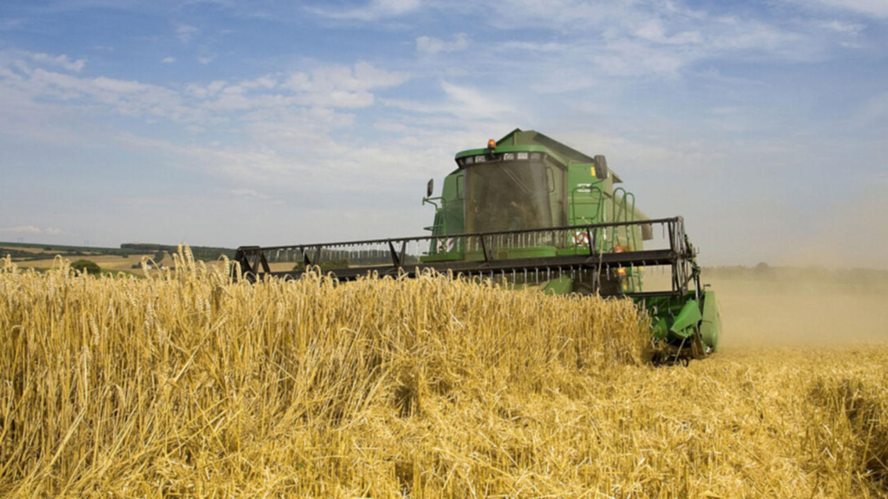 cosechadora cereales espana