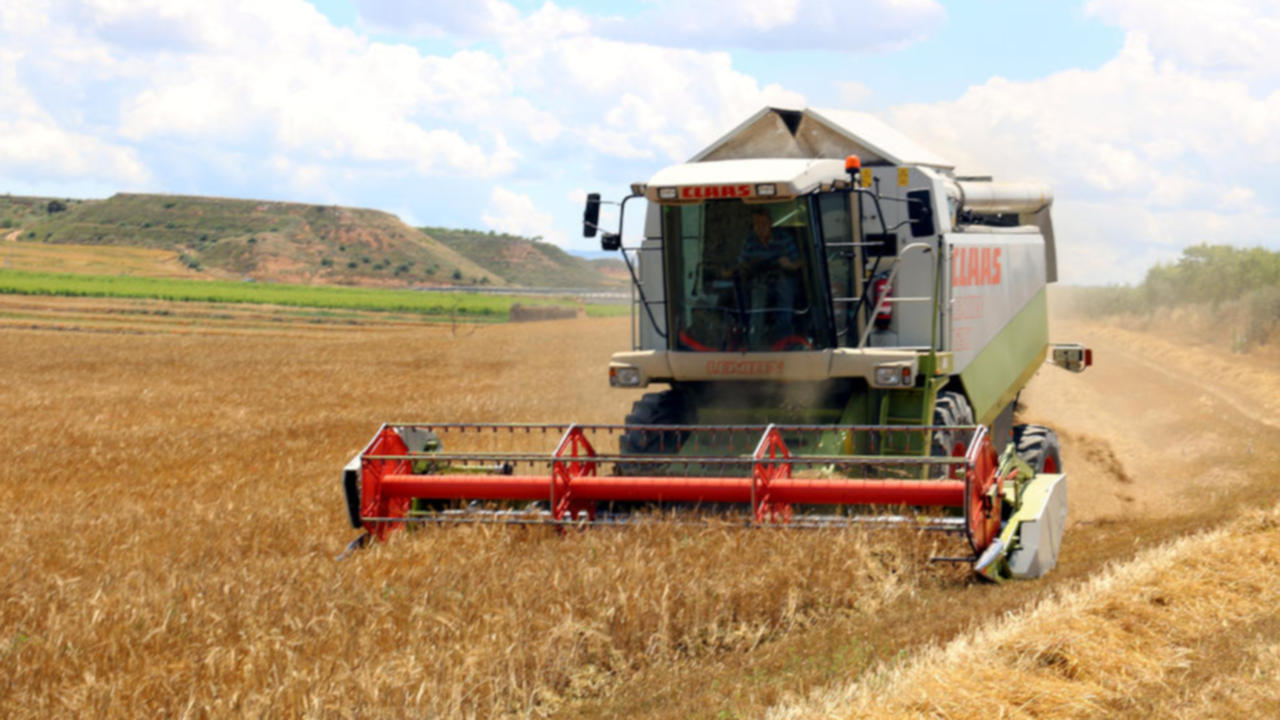 cosechadora cosechando cereal