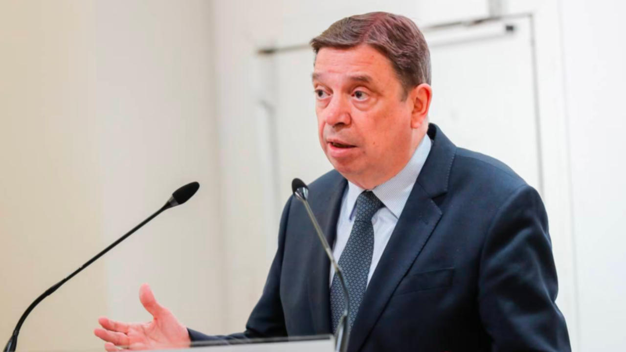 luis planas bruselas