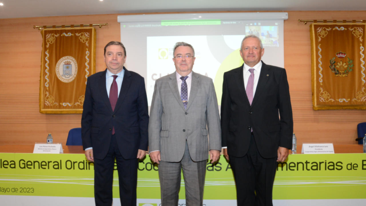 planas cooperativas agroalimentarias