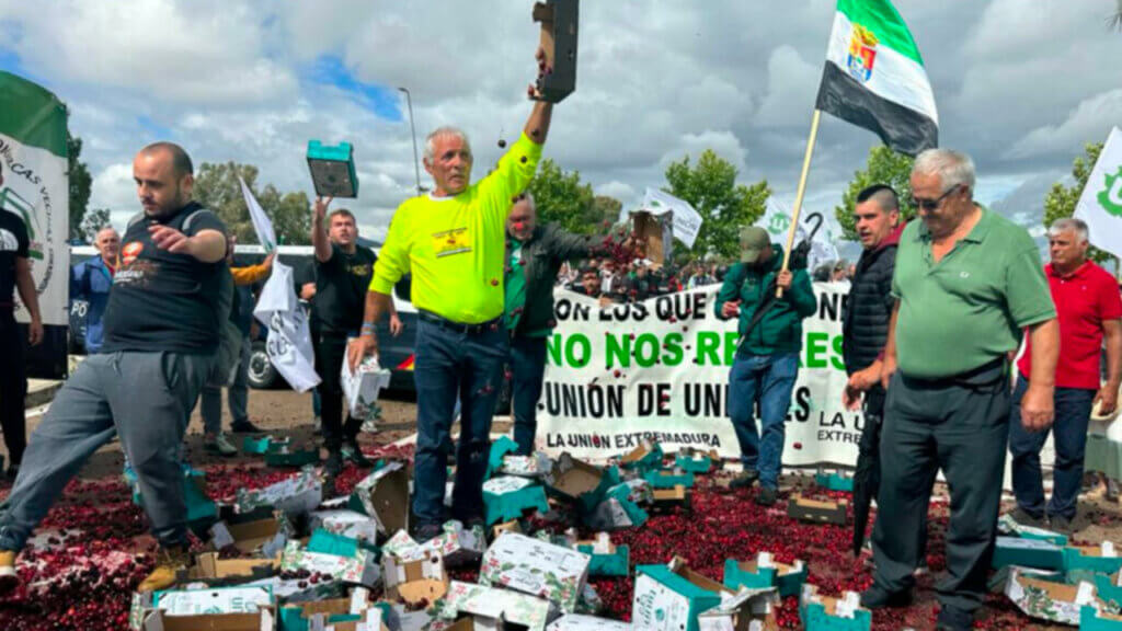 cereceros extremenos ayudas