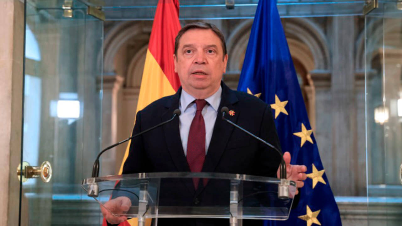 luis planas frutos rojos