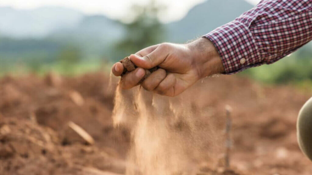 Análisis detallado de la cobertura y costes del seguro agrario en España