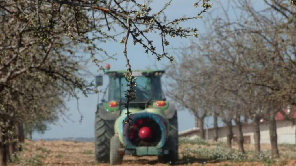 Productores de frutales y frutos de cáscara preparándose para recibir ayuda económica
