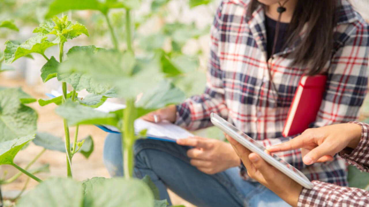 Explotaciones agrarias respaldadas por el Ministerio de Agricultura, Pesca y Alimentación con un modelo de titularidad compartida