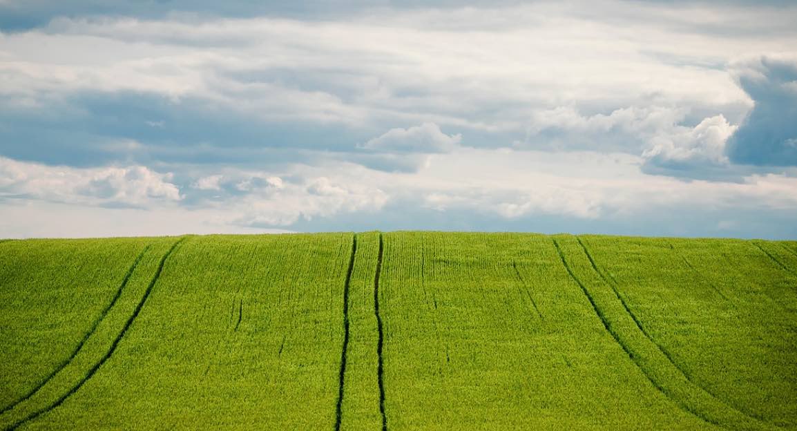Avances en maquinaria agricola inteligente mejoran el cultivo de carbono
