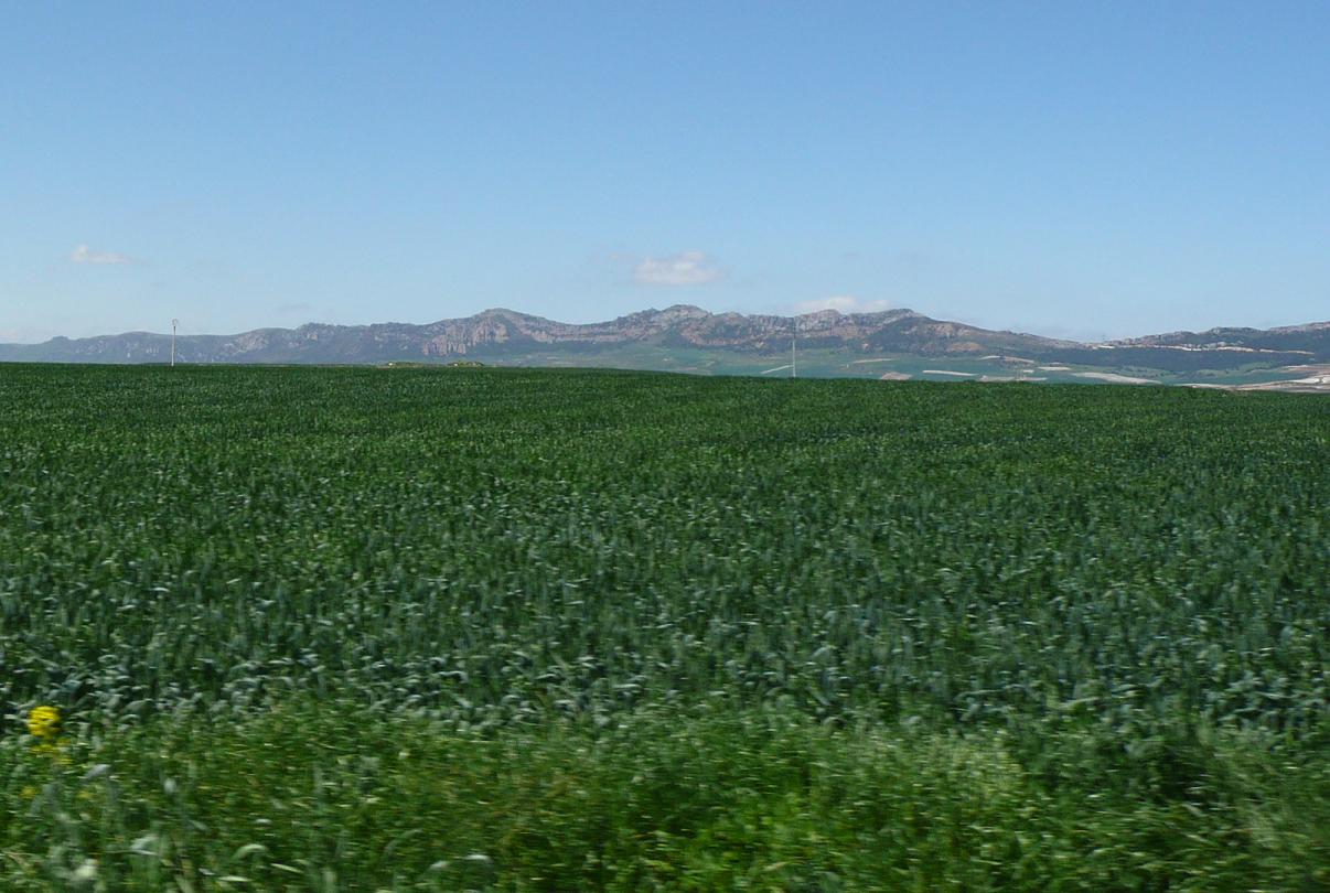Bruselas suaviza regulaciones medioambientales para areas de cultivo para el