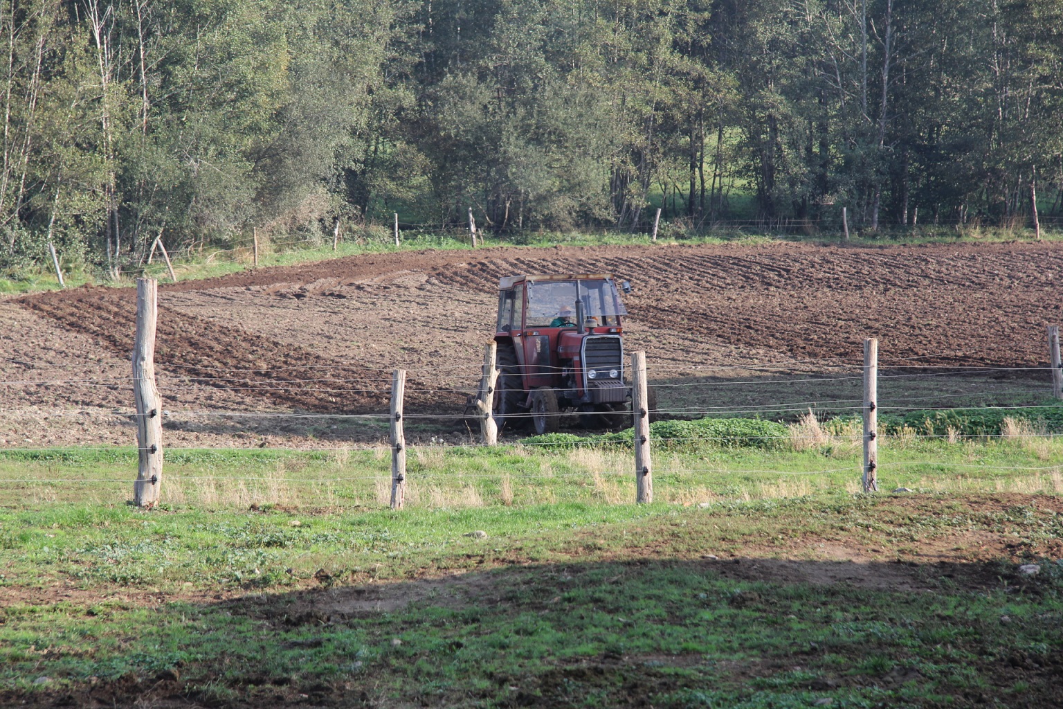 Descenso del 24 en muertes por accidentes laborales en el