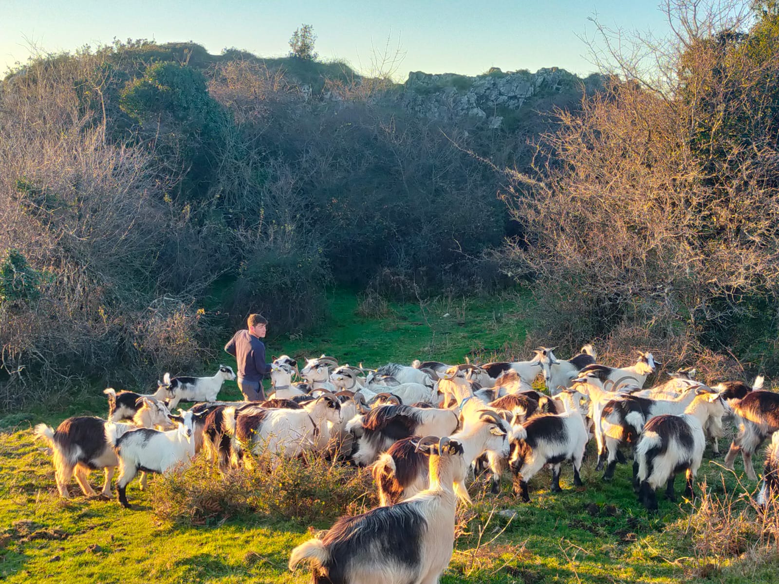 Jose Luis Alonso se resiste a dejar su oficio de