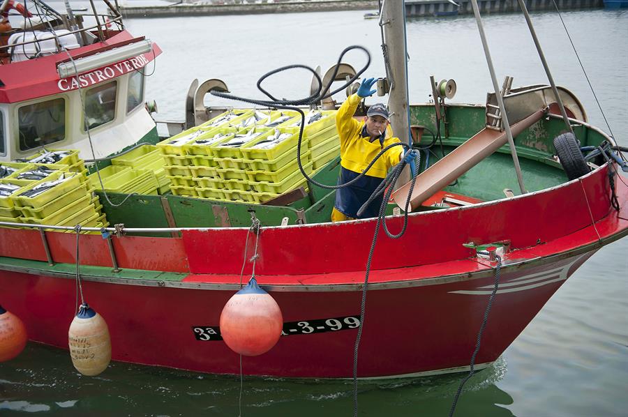 Pescadores consideran unirse a movilizaciones agrarias en protesta contra politicas