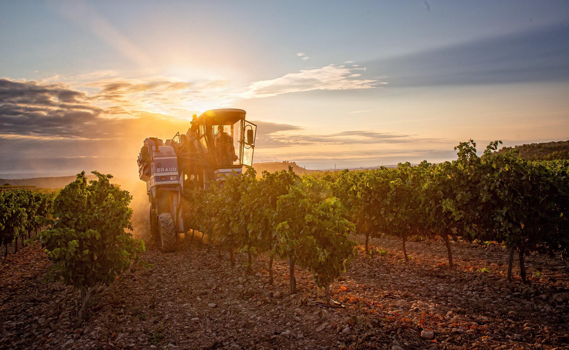 Vida en el campo definida por sequia cambio climatico abandono