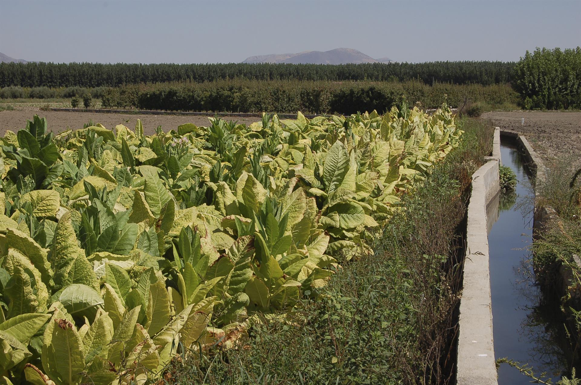 Bruselas presenta plan para transicion hacia sistema agroalimentario sostenible
