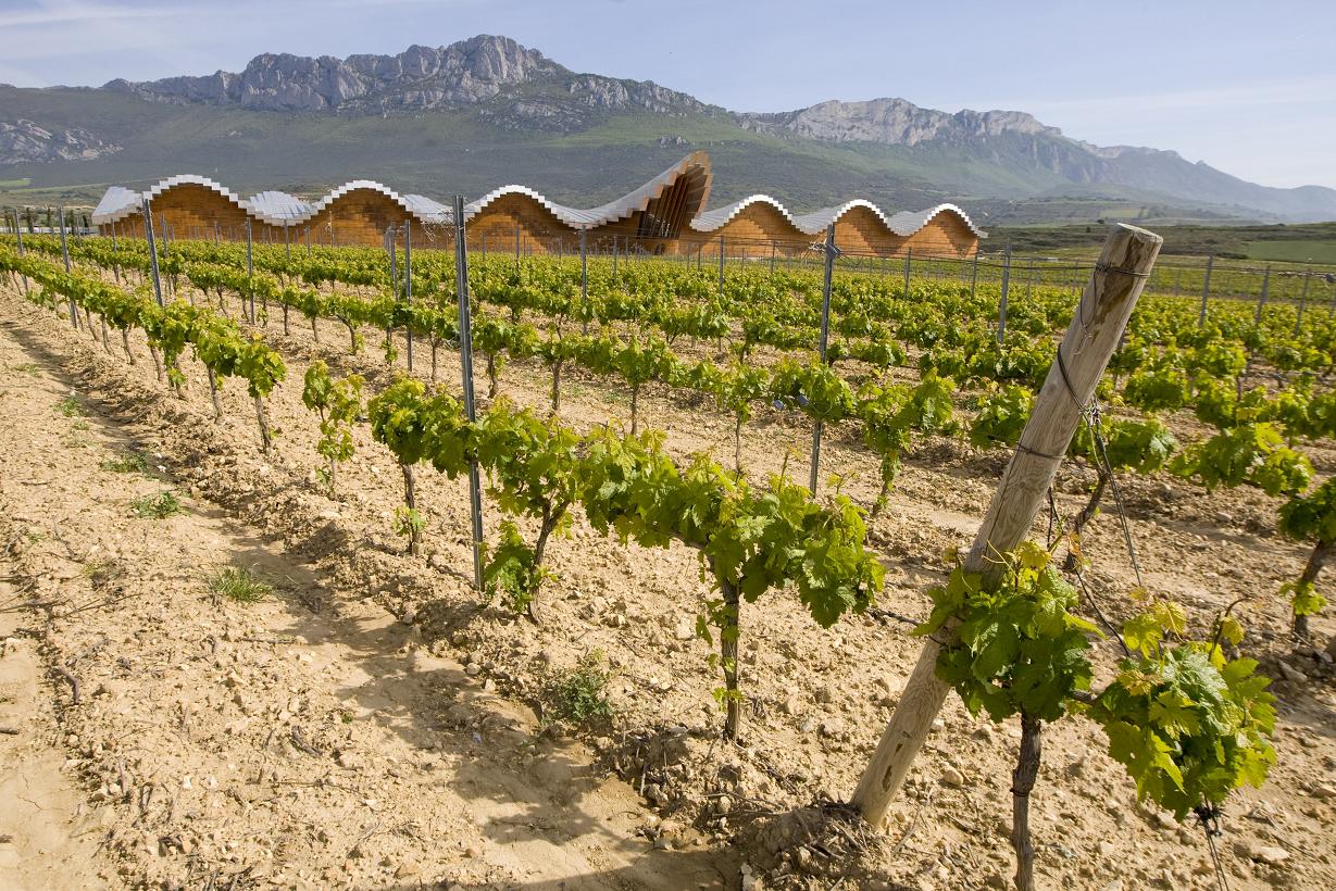 Cantabrico pide mayor flexibilidad en la Politica Agricola Comun para