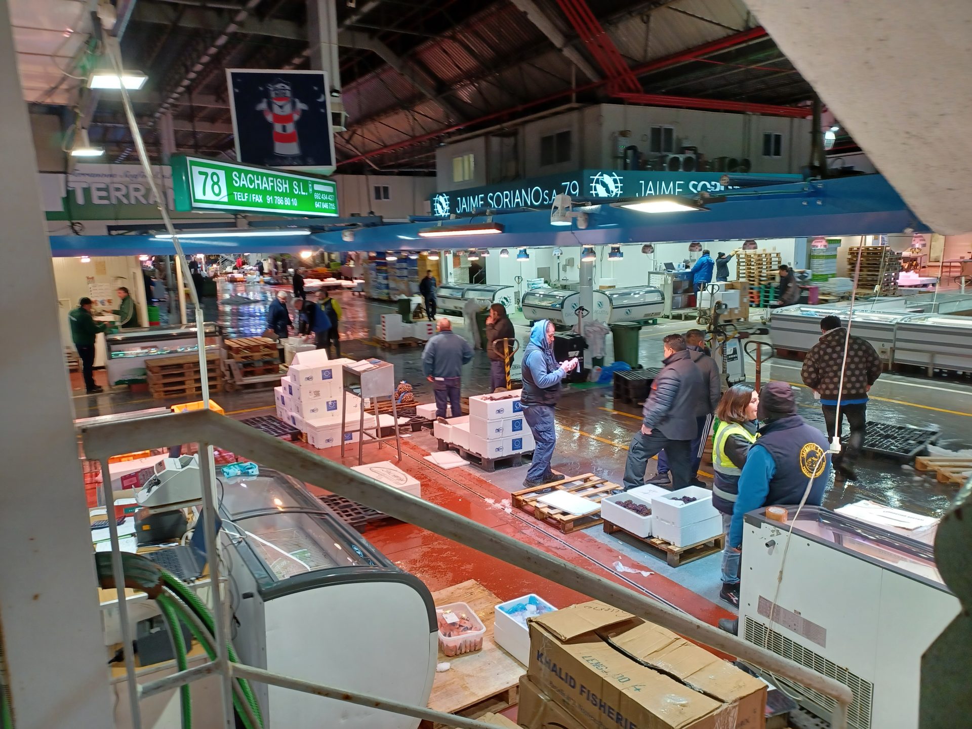 Explorando el comercio pesquero espanol en un viaje nocturno por