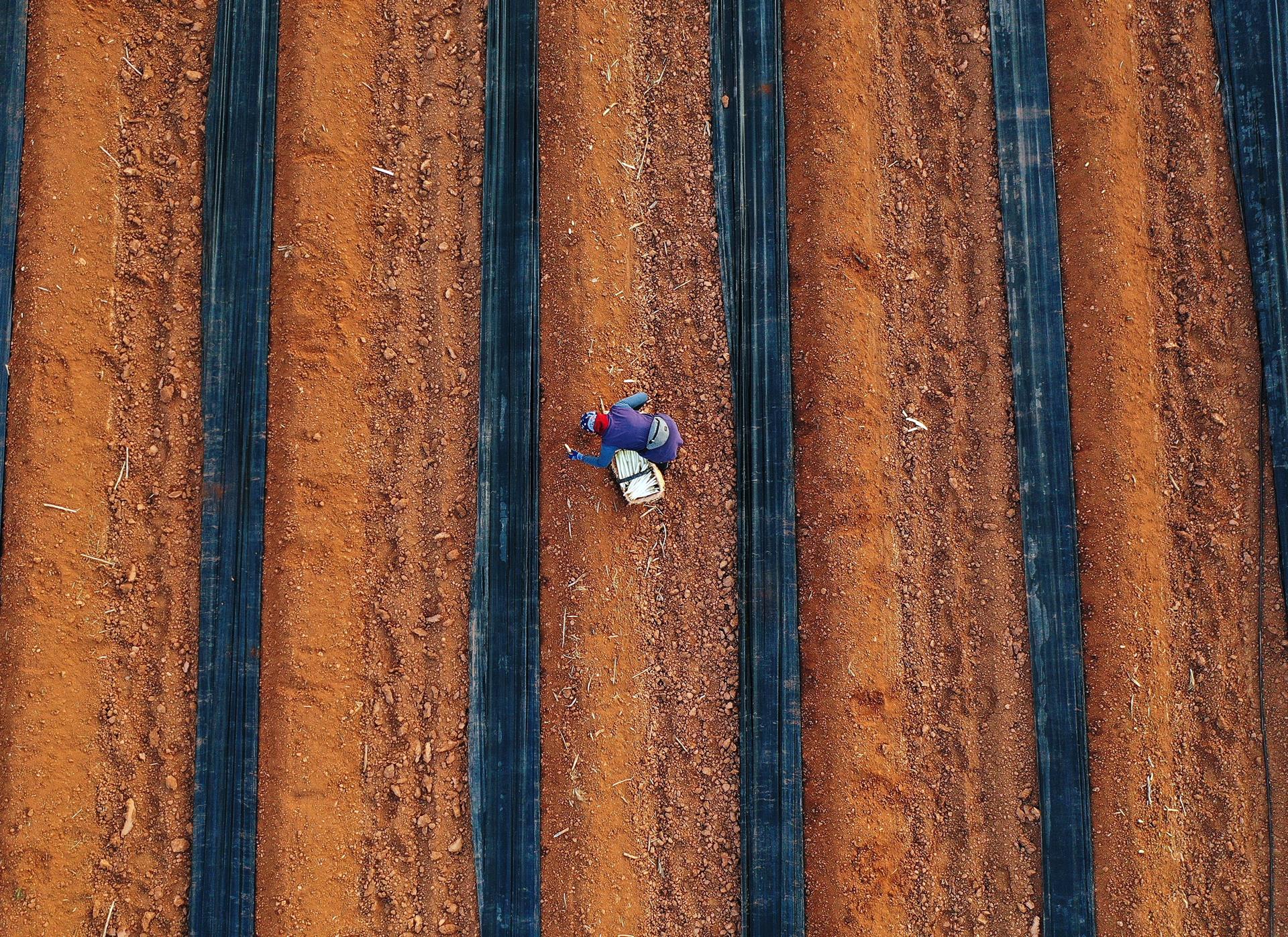 Mas de cien organizaciones exigen a Bruselas mantener los elevados