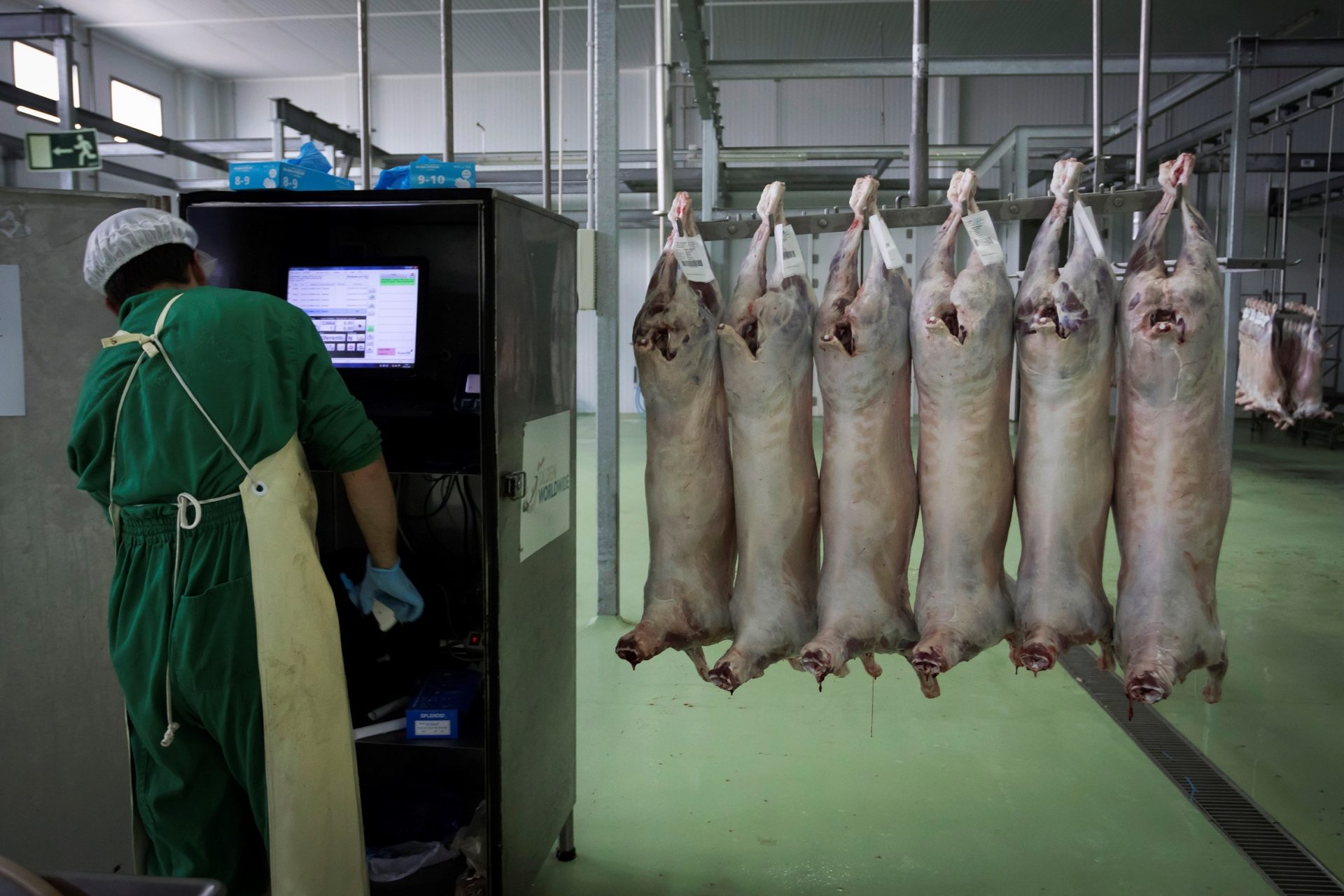 Retroceso de la producción de carne en España en 2023 con 7,4 millones de toneladas obtenidas, casi un 2% menos Retroceso de la producción de carne en España en 2023 con 7,4 millones de toneladas obtenidas, casi un 2% menos