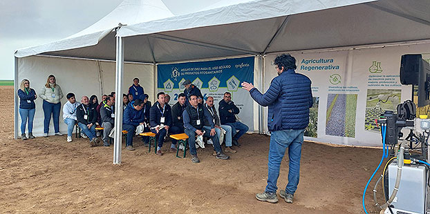 Syngenta impulsa innovacion en cultivos extensivos promueve la agricultura sostenible