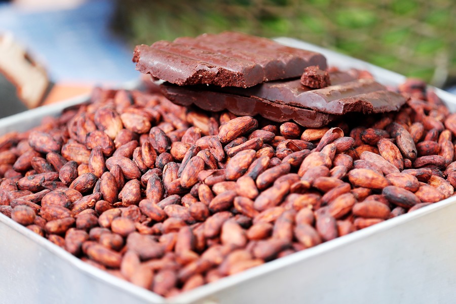 Aumenta el cacao en America Latina oportunidades y desafios emergen