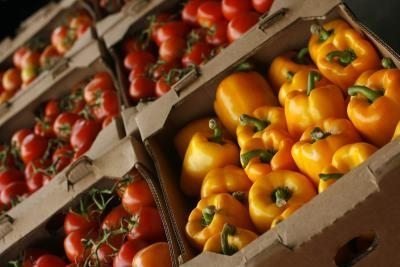 COAG informa un aumento del 325 en el precio de