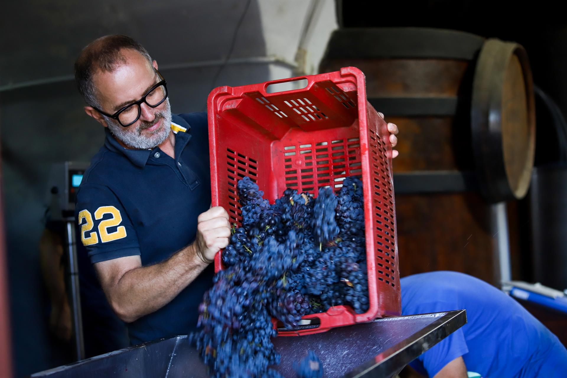 Descenso del 10 en la produccion global de vino en