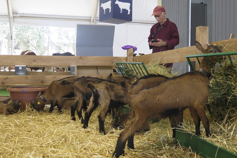 Espana brilla como invitado de honor en la feria de
