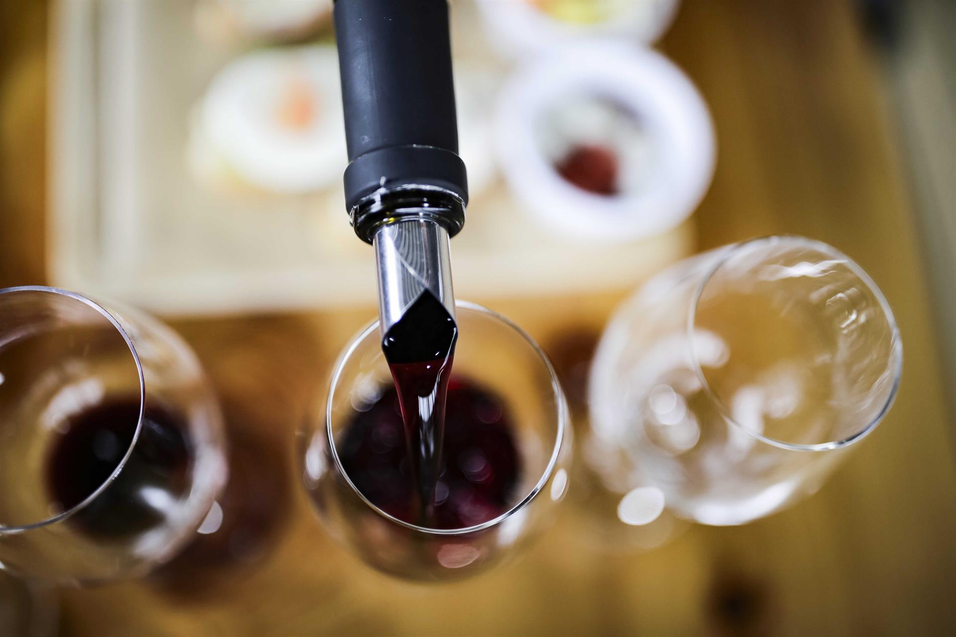 Federacion del Vino solicita apoyo de Planas en la promocion