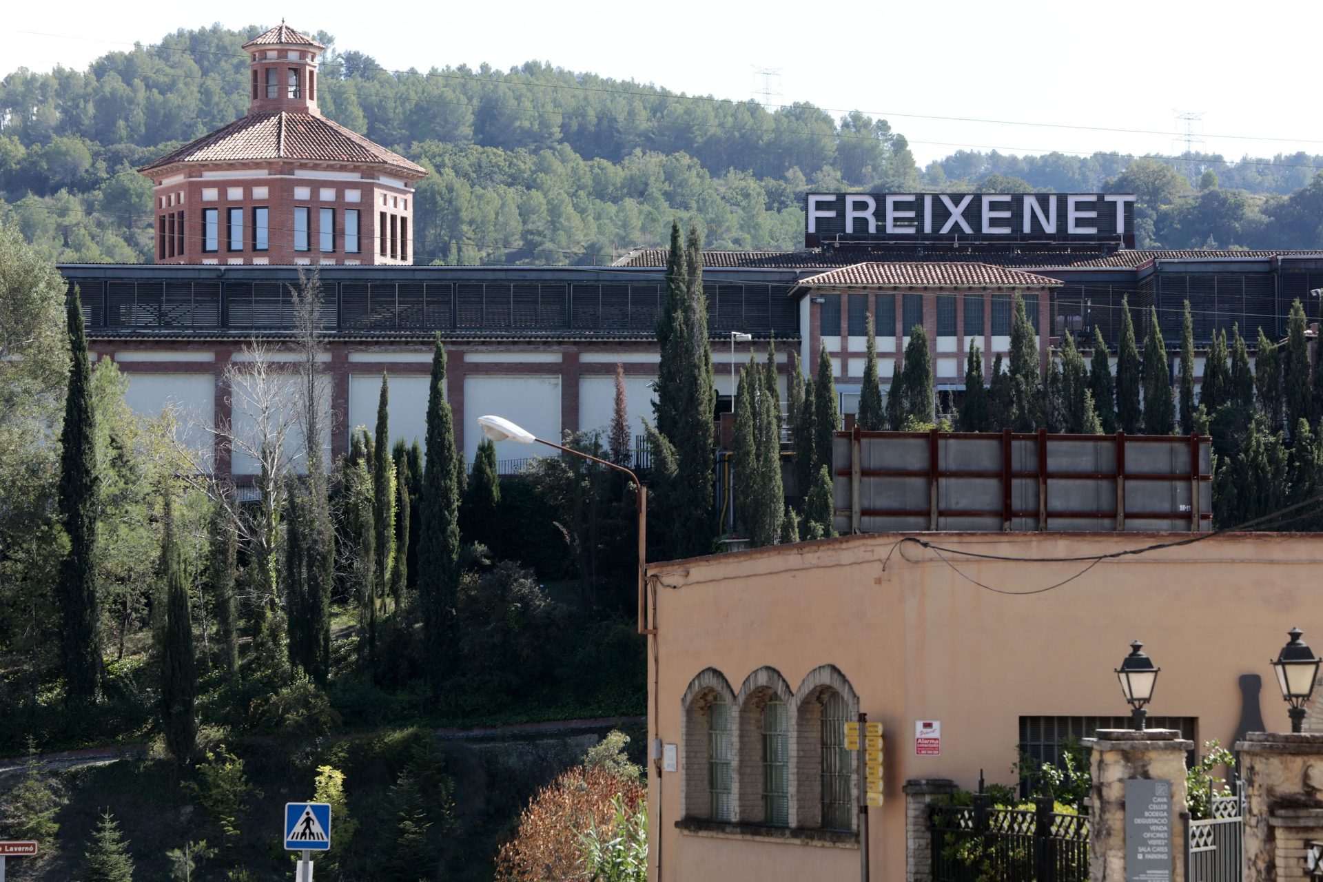 Generalitat descarta ERTE por fuerza mayor de Freixenet grupo opta