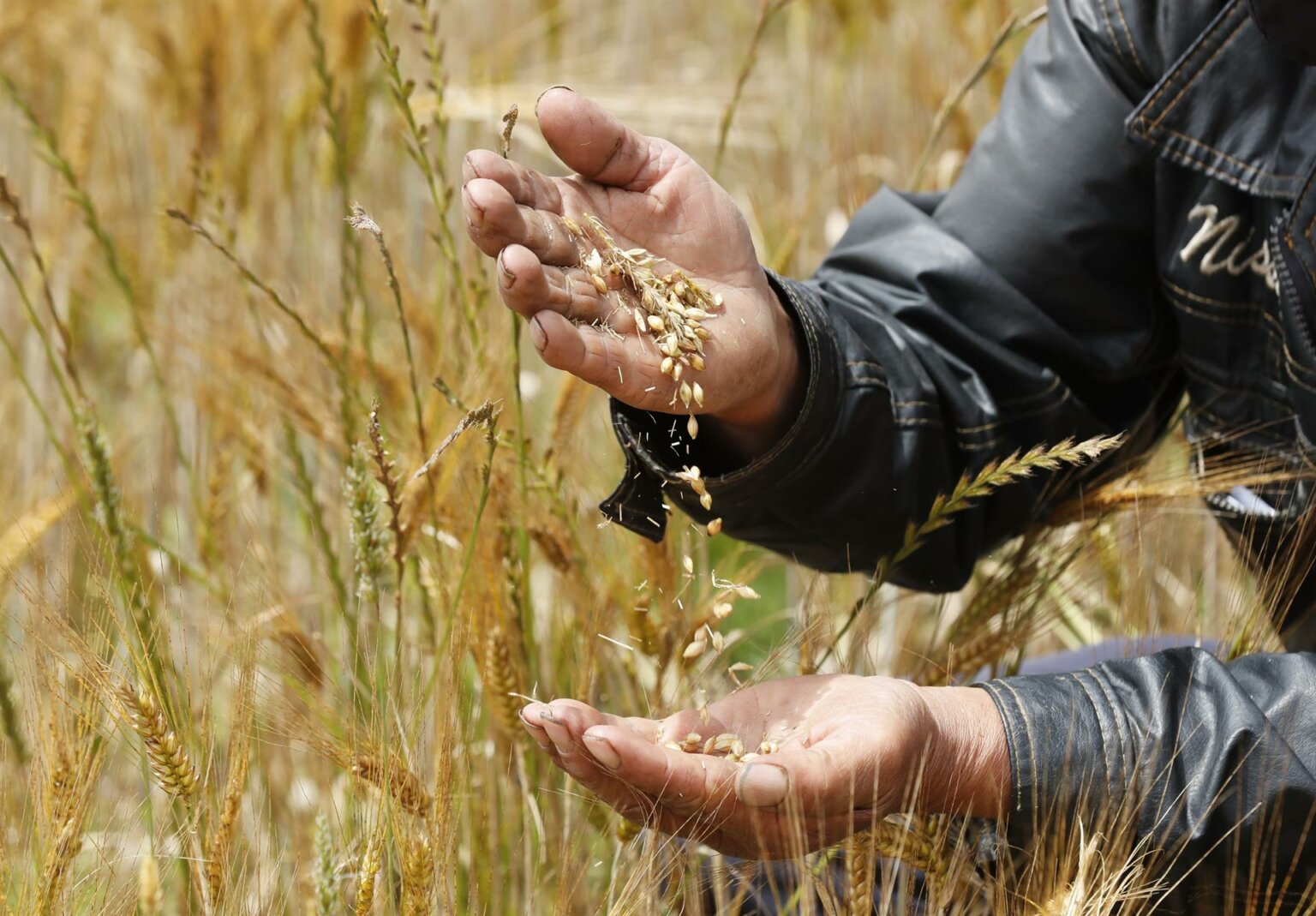 Gobierno introduce plan de 43 medidas para ayudar a agricultores a ...
