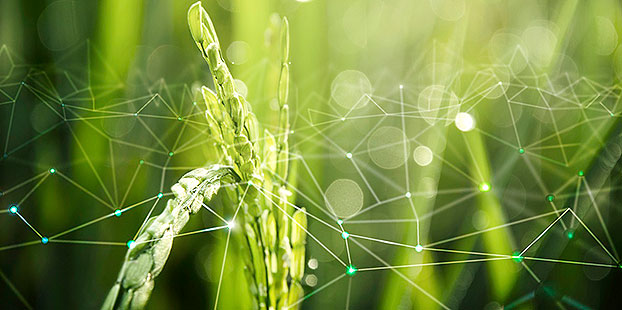 Integracion de datos es vital para el futuro del riego