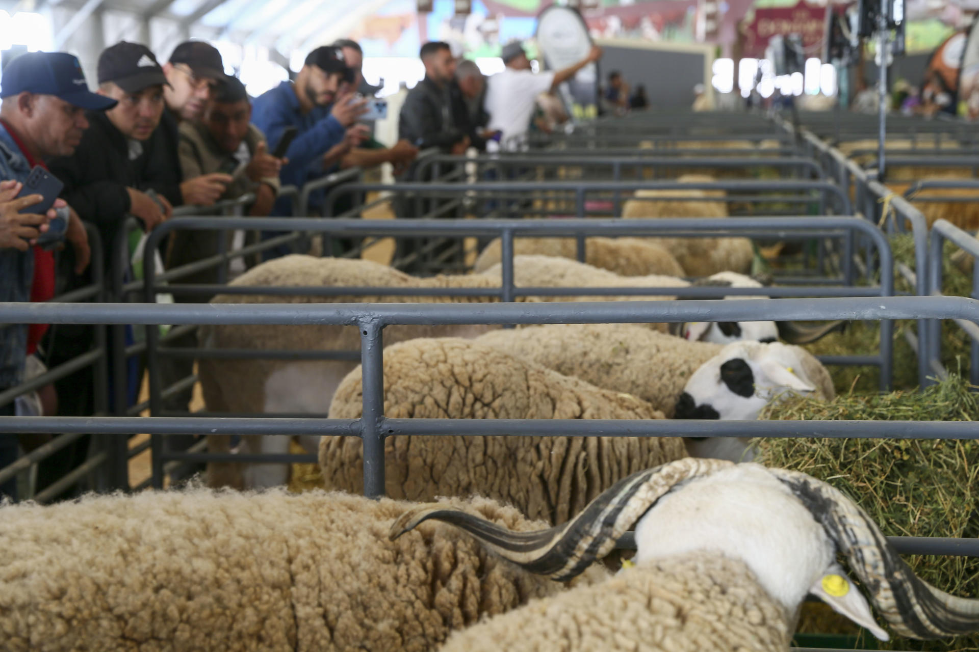 La Semana Agroalimentaria presenta su nueva entrega en solo cinco