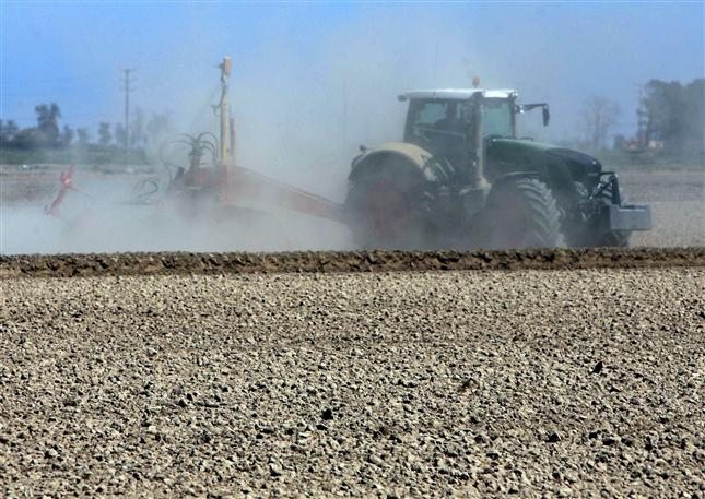 Mas del 70 de la produccion agricola en Espana proviene