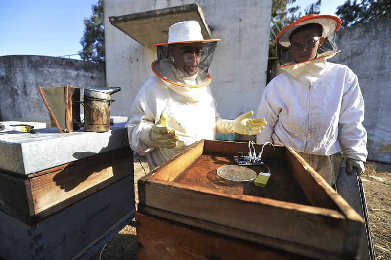 Agricultura abre consulta publica para cambios en norma de calidad