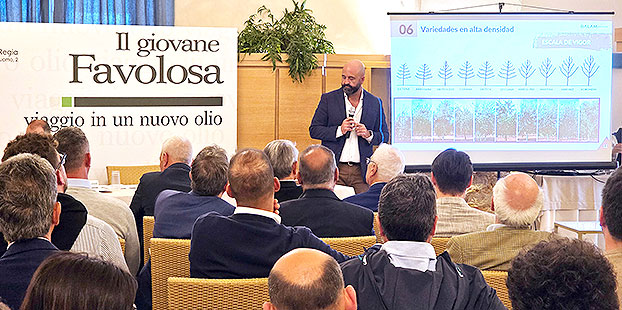 BALAM Agriculture impulsa la modernizacion del cultivo de olivar en