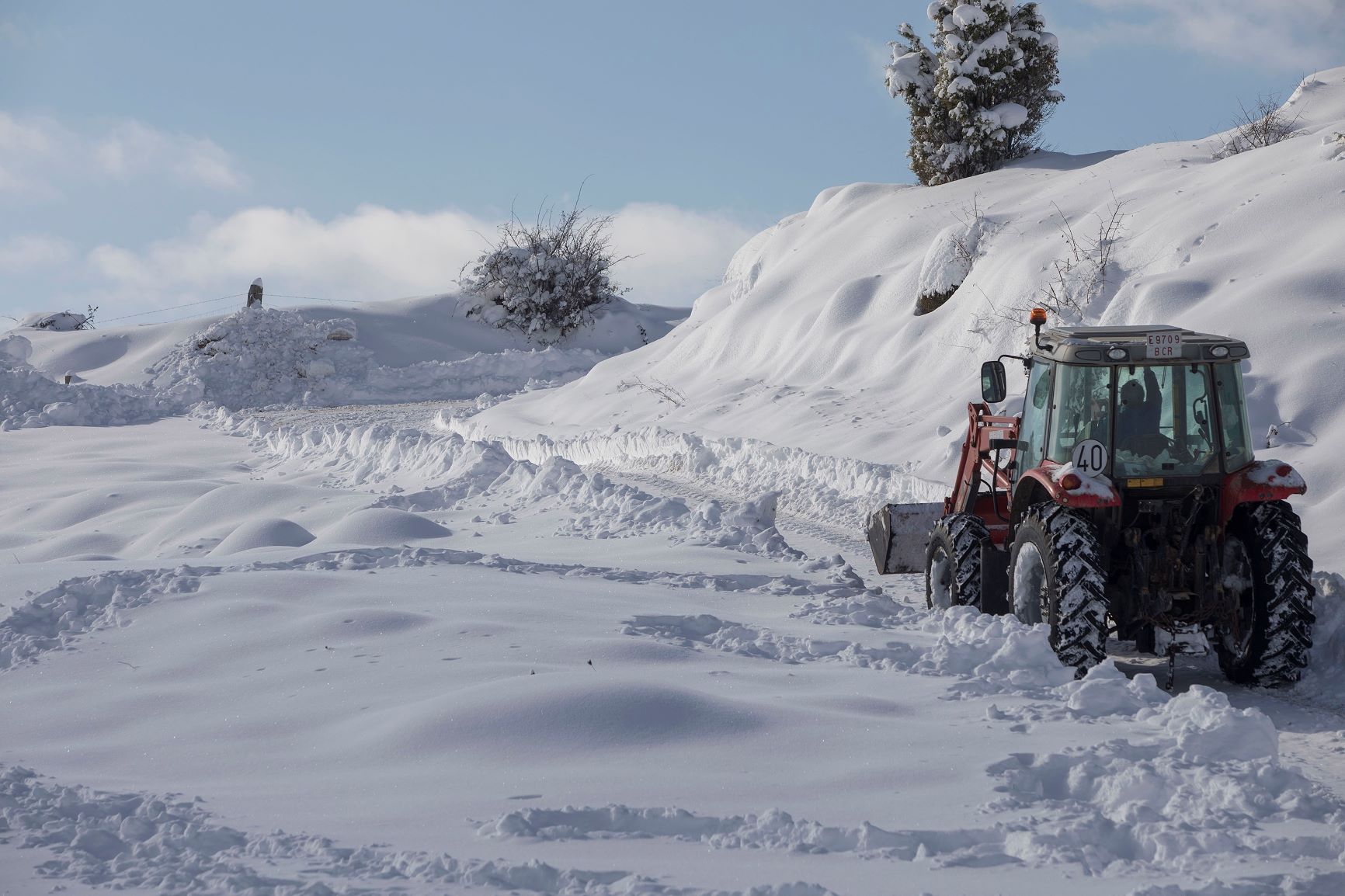 El clima ofrece alivio al sector agricola en 2024 con