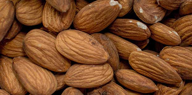 Expectativas de cosecha de almendra en 125000 toneladas segun el