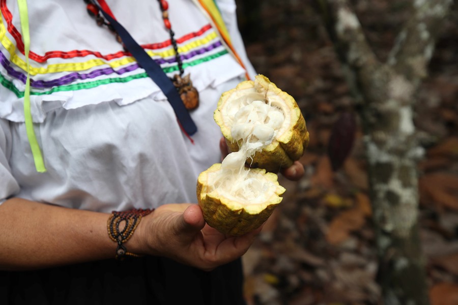 Oportunidad de empoderamiento para agricultoras peruanas gracias al alto precio