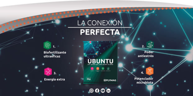 Potencia la salud y productividad de tus cultivos con el