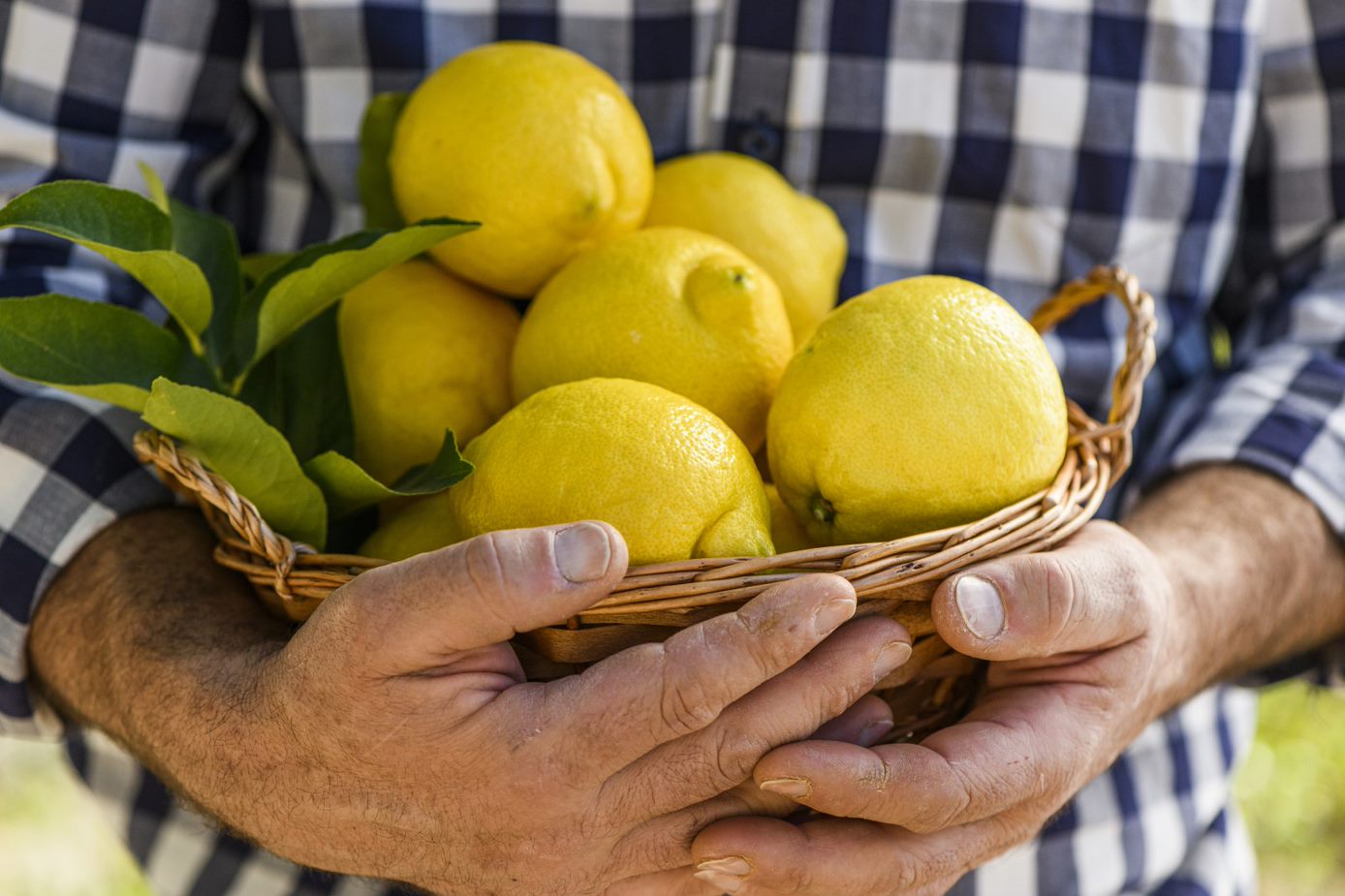 Aumento dramatico de 300 en el precio de los alimentos