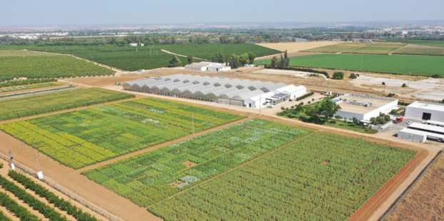 Corteva marca su quinto aniversario con innovaciones para moldear el