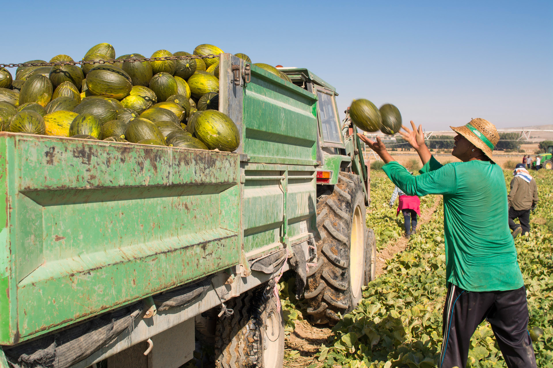 Retroceso del 24 en el paro del sector agricola durante