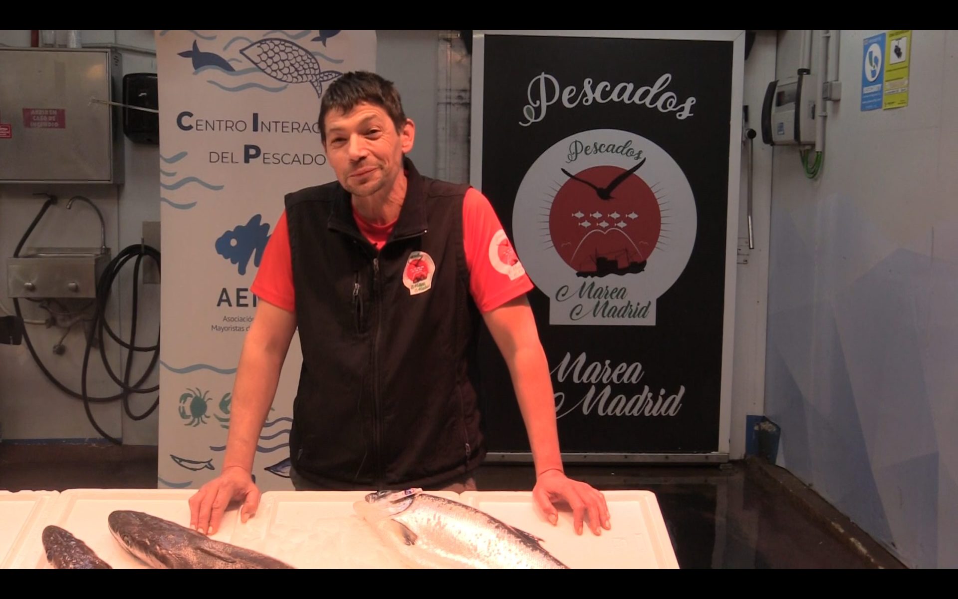 Como seleccionar tu pescado ideal descubriendo color y frescura