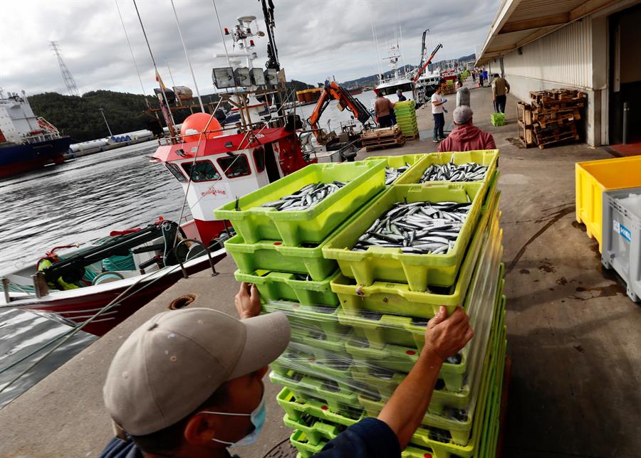 Gobierno y pescadores analizan ciclo europeo en busqueda de mejoras
