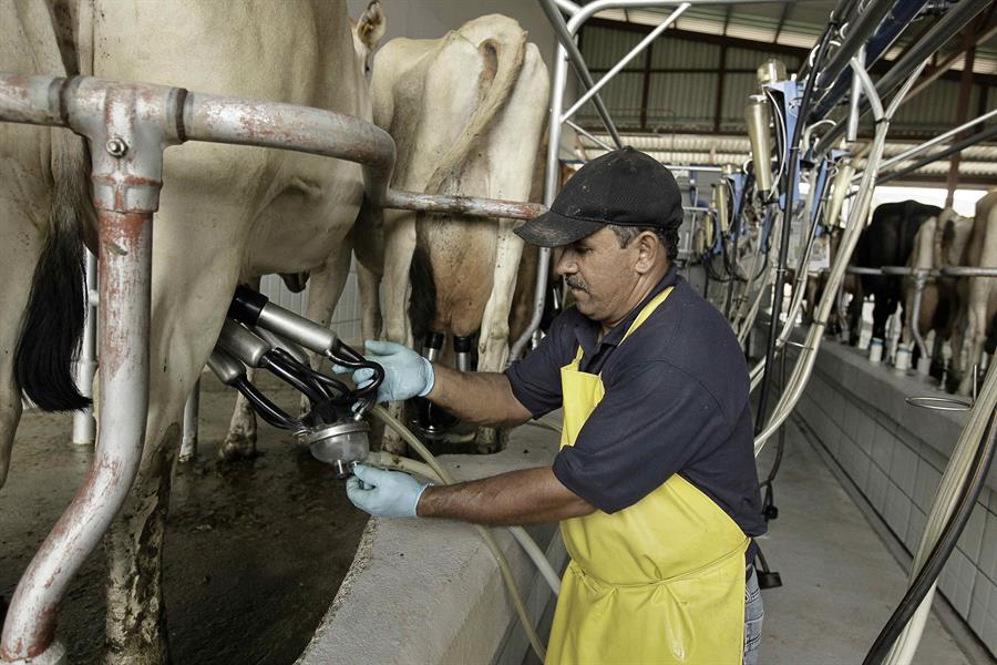 IICA fomenta conversaciones sobre comercio agropecuario global en America Latina