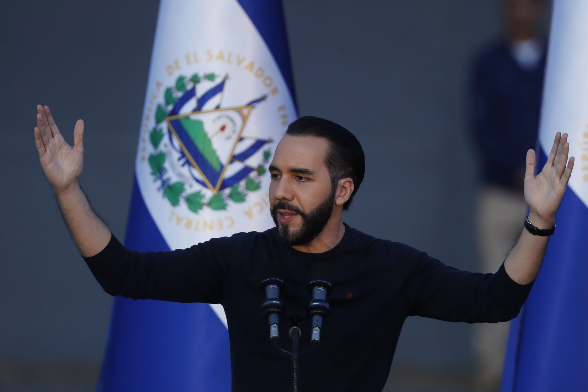 Presidente Bukele predice seguridad alimentaria en El Salvador dentro de
