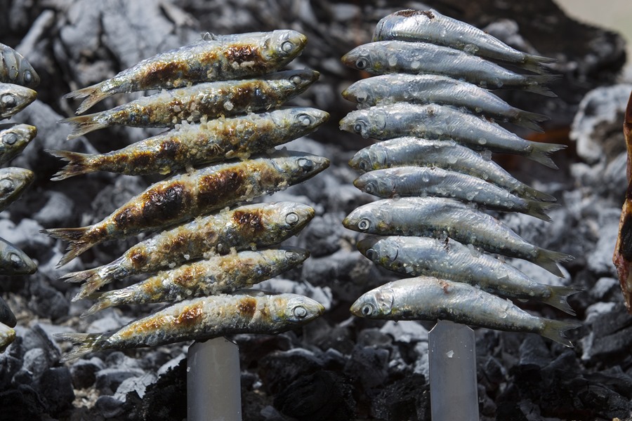 Venta de pescado en verano impulsa el turismo y la