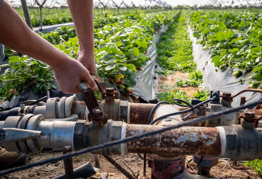 Abogan regantes por segunda modernizacion y equilibrio en la gestion