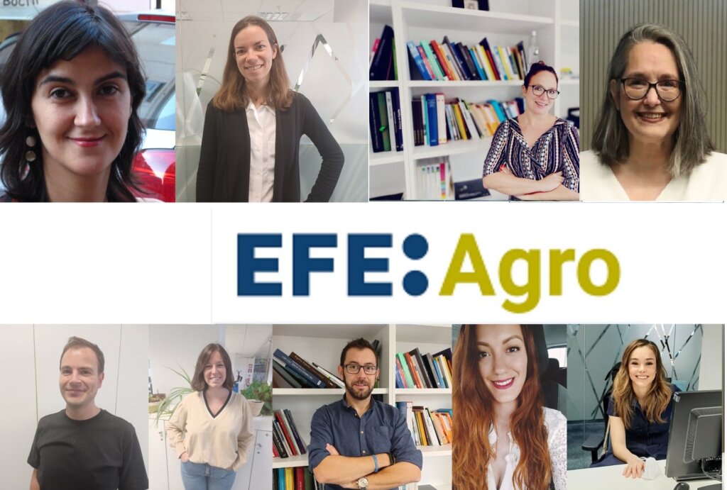 Efeagro galardonado con el Premio Alimentos de España 2024 en la ...