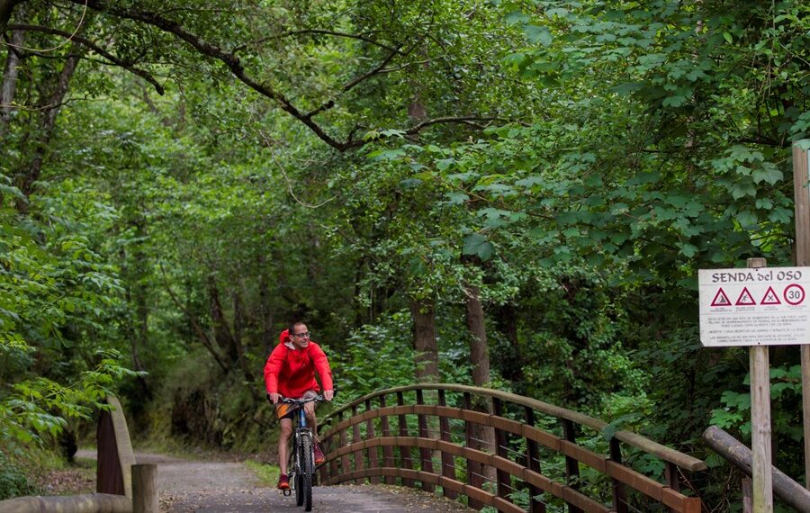 Explora desde Irati hasta la Senda del Oso, rutas rurales frescas para escapar del calor este verano Explora desde Irati hasta la Senda del Oso, rutas rurales frescas para escapar del calor este verano