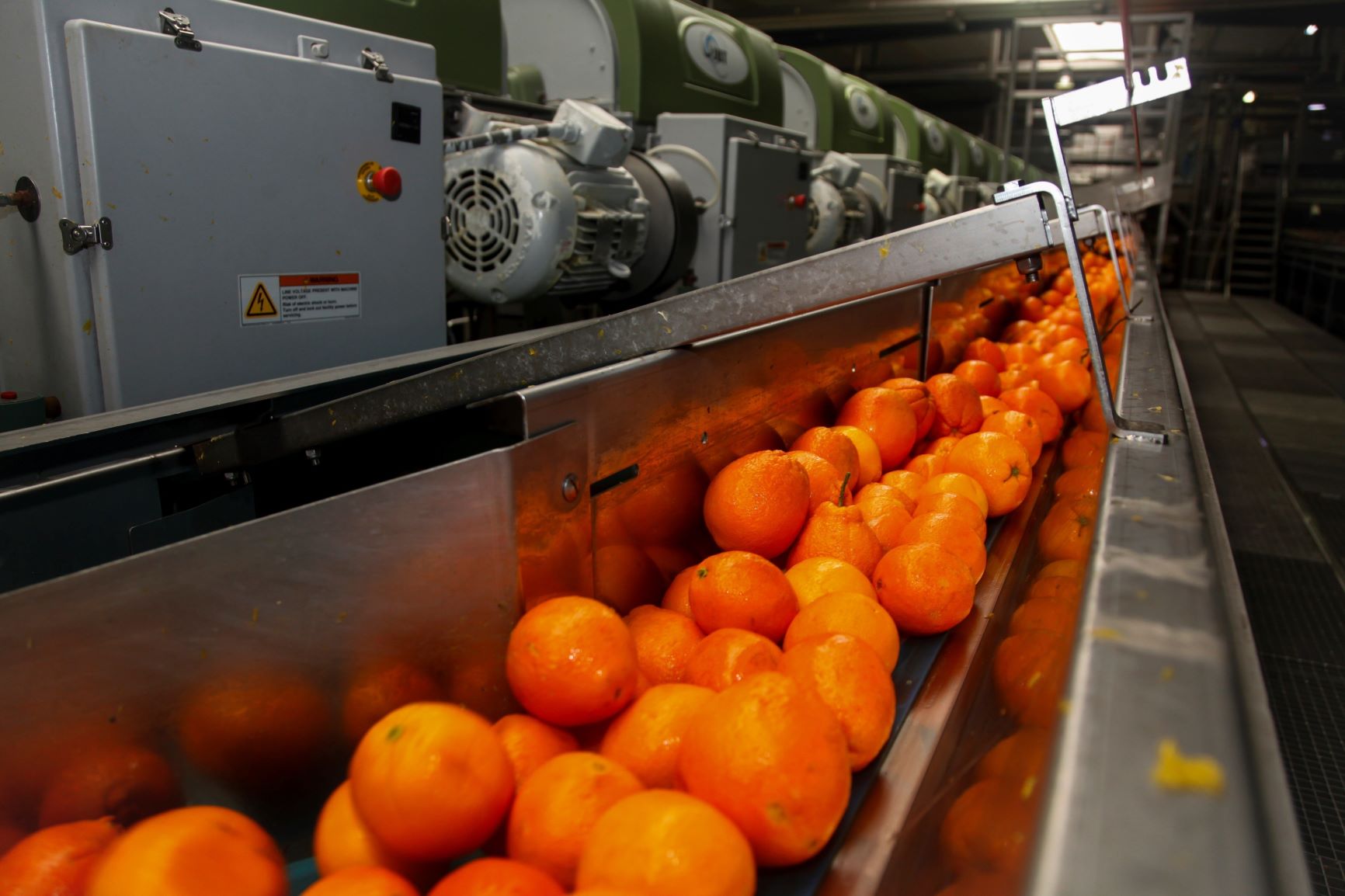 Cosecha de citricos del gobierno estimada en 58 millones de