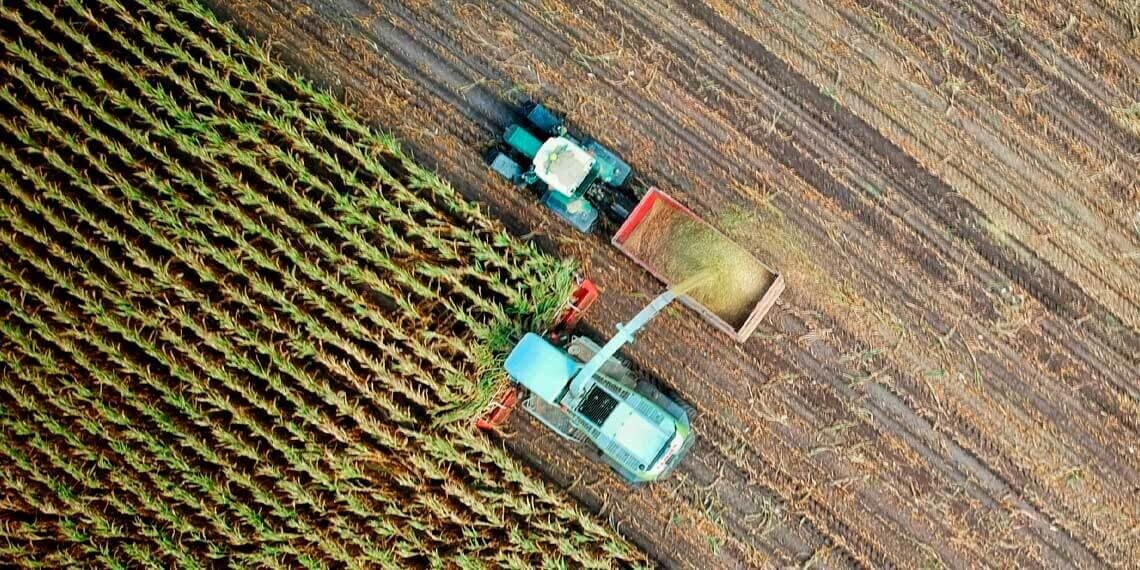 Crecimiento del mercado de agroquímicos impulsado por la IA y el uso de herbicidas